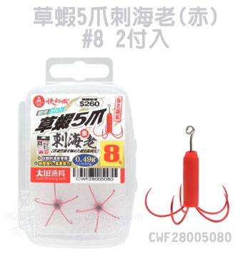 草蝦5爪刺海老(赤)